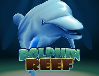 ninegames_dolphin_reef 大发娱乐海豚乐园